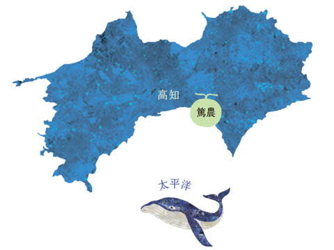 【数量限定‼ひとりじめメロン】6玉で9kg高糖度マスクメロン