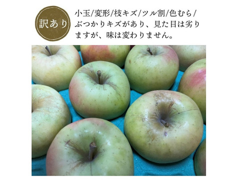 【予約受付11月上旬発送！】青森県産りんご「ぐんま名月」家庭用 キズ有 約10kg(5kg×2箱)【光センサー選果・高リピート率】