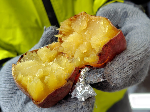 紅はるか 2kg  焼き芋＆スイーツにピッタリ♪　大きさも選べます♪
