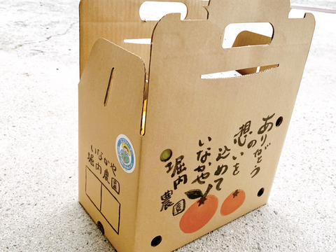 のぶやんの有田みかん 2.5kg箱 田口早生