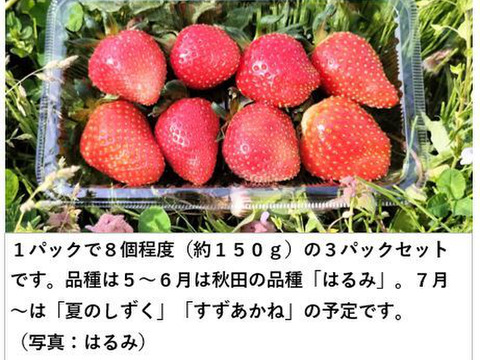 【配送エリア限定、日時指定必須】完熟で香り高い！秋田の夏イチゴ＜約150gｘ3パック＞