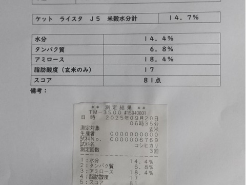 【令和7年新米】　福井県産　コシヒカリ　玄米　5Kg