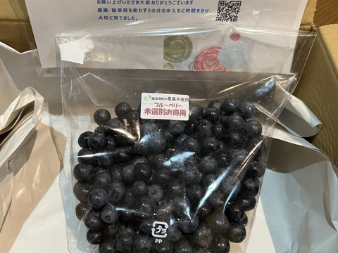 【訳あり！！】新鮮・完熟・フルーティ、ブルーベリー　500g