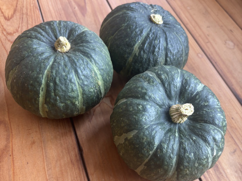 坊ちゃんカボチャ　手のひらサイズのかわいいミニカボチャ！　1kg(3個以上)　京都府産