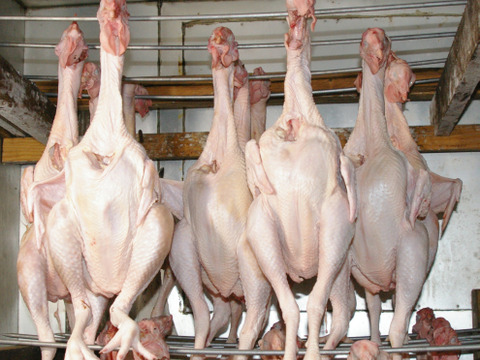 島根県産銀山赤どり熟成鶏（ドライエイジング）ご注文からお届けまでに10日間位掛かります