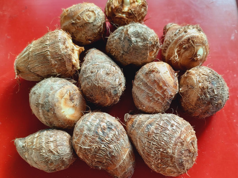 ねっとり甘々　自然農さといも　１kg