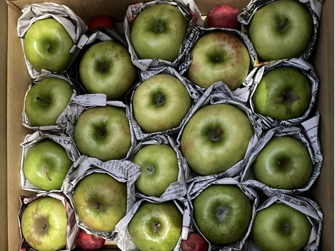 グラニースミス家庭用（約4.5㎏）14～25玉
欧米で青りんごといえばこれ　
形やキズなどで贈答用になれなかったりんごたち
バラ詰めでお届け
