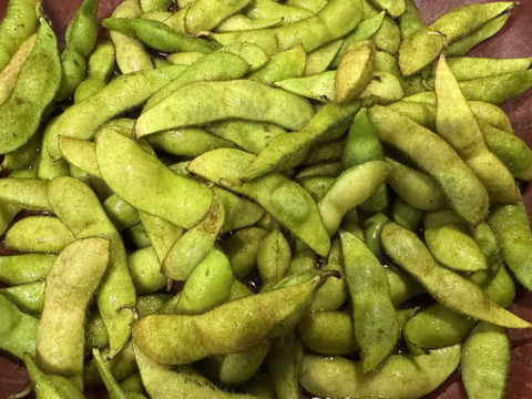 【有馬温泉の麓発】極旨 丹波黒枝豆1kg🫛 大容量 土づくりにこだわる農薬節約栽培🌱 丹波黒大豆枝豆 丹波黒豆 丹波黒 枝豆 どらまめと同じ品種《10月中旬〜発送・配達日時指定可🚛³₃》