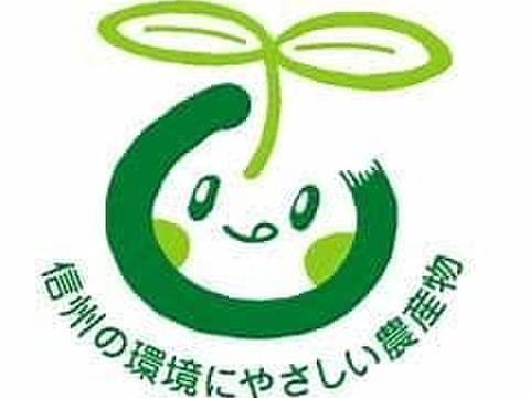 数量限定！訳アリ規格外！信州麻績村産の秋映5kg