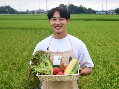 【令和６年度 新米】ふっくら食感と甘さが自慢！茨城県産こしひかり10kg【白米】