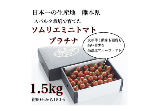【冬ギフト】【極み】希少な高濃度フルーツトマト　ソムリエミニトマト　プラチナ１.5kg（９０玉～１５０玉）