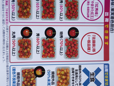 山形県産　佐藤錦　特秀　L以上　1kgバラ詰め