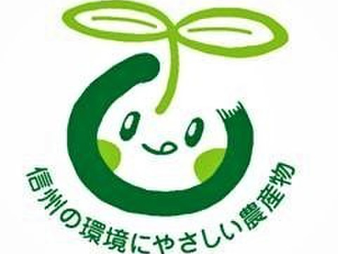 長野県認証栽培のサンふじ3ｋｇ