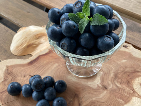 本日限定！【完熟生ブルーベリー(100g×４パック)】※本日17：00までにご注文手続き完了の方に限ります。