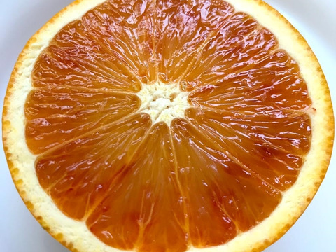 和歌山県有田産！ブラッドオレンジ（2KG）タロッコ種