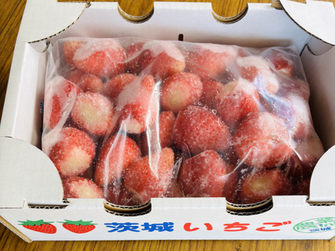 [2024いちご博銀賞受賞]
めちゃ甘冷凍いちご‼️1キロ