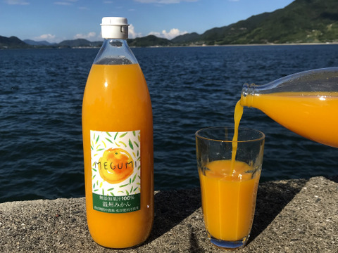 【農薬不使用栽培】柑橘ジュース4種類1000ml飲み比べセット （無添加果汁100％）