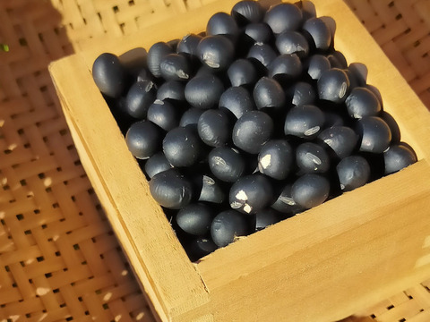 使いやすい！1kg梱包！風味豊かな農薬不使用の有機黒豆23kg !北海道の大地で育った、いわいくろ