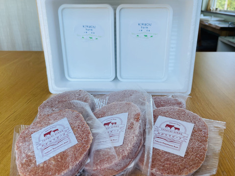 【お中元ギフト】家族みんなで分けて食べれるファミリーサイズ(800ml) 2個と、冷凍のまま焼けるハンバーグ6個セット！