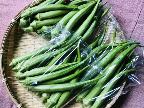 (単身者向け)未来へつなぐ 固定種・在来種 自然栽培野菜セット60サイズ　農薬不使用　有機肥料含む全ての肥料不使用