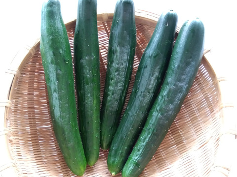 さつま芋(紅はるか）たっぷり入ります。
旬野菜おまかせセット
欲張りたっぷり　2500円コース
農家人ではなく「お客様」が選ぶ旬野菜のおまかせセットです。