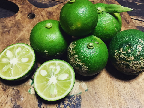 【農薬不使用】香酸系柑橘おまかせセット800g