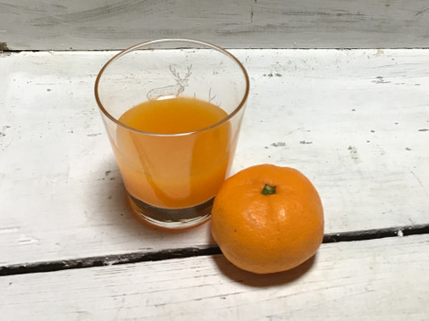 お得なセット！【農薬不使用】玉ねぎ1kg&青島みかんジュースセット