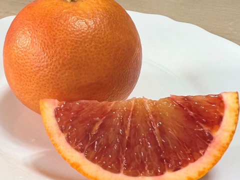 無・ブラッドオレンジ（モロ）1.8kg
