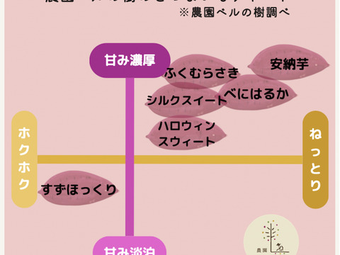 熊本県産オーガニックさつまいも！すずほっくり【万能なホクホク系】（3kg）グリル料理にも相性抜群！