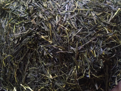 煎茶（2024） やぶきた 新茶 加茂自然農園のお茶　農薬・肥料不使用　緑茶