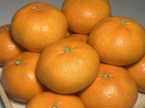 期間限定！甘平3キロ(家庭用)