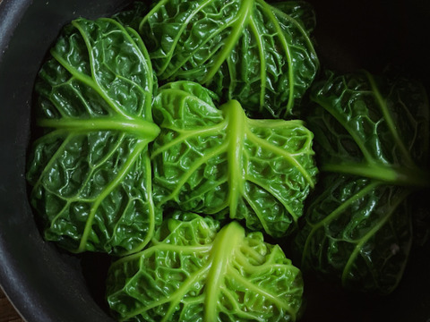 お料理の幅が広がる！季節の西洋野菜Italian selection 80サイズ