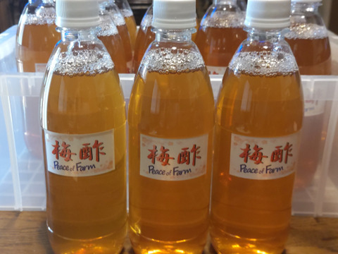 暑さを乗り切る梅の健康効果「梅酢」580ml 4本