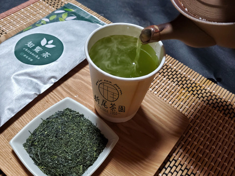 【新茶】2024年摘み知覧茶　100g×3袋　日本茶インストラクター在籍店　茶農家が販売するお茶　深蒸し煎茶　かぶせ茶
