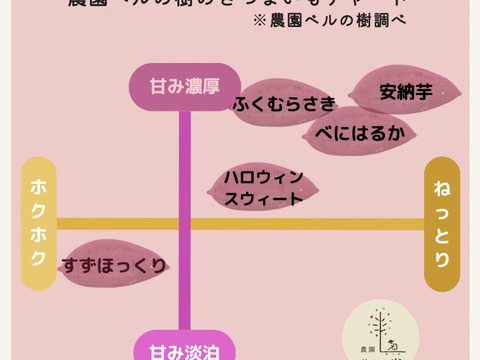 熊本県産オーガニック！安納芋【丸々として蜜が溢れる】(箱込み５㎏)焼き芋、お菓子作りにも！