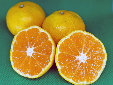 甘さと酸味のベストバランス　青春の運動会みかん箱込約4.5㌔