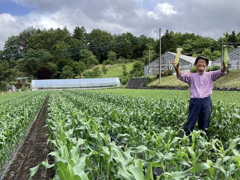 【夏ギフト】濃厚！とうもろこし「恵味」　9.5kg