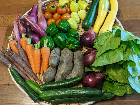 【8〜10品目】カラフル夏野菜ボリュームセット
