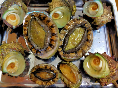 天然!アワビさん!200g-300gと活き活きサザエさん!!島根町産(1.5キロ)