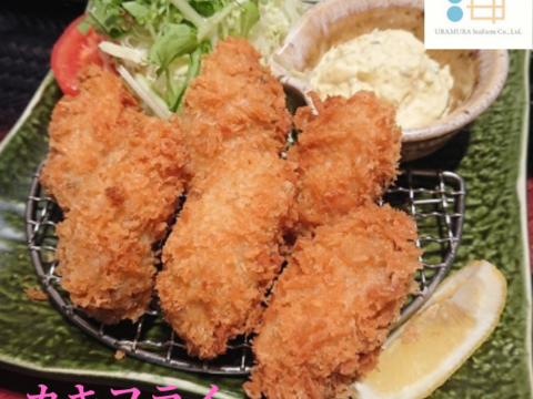 【お試し数量】【生牡蠣】【生食用】三重県産 殻付き 浦村かき 10個セット（約1.1kg前後）（1～2人前）
生牡蠣 牡蠣 カキ かき 貝類 海鮮 BBQ お歳暮 熨斗対応　海のミルク【冬ギフト】