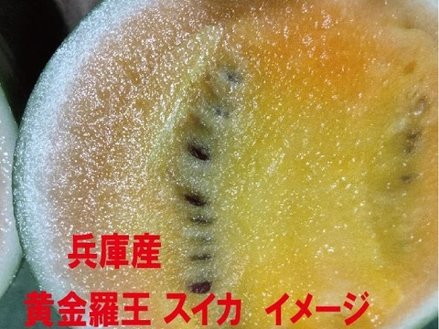 兵庫産 訳あり 黄金羅皇　TVで大人気　中玉スイカ1玉　ご家庭用④