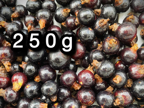 【ジャムづくりに】冷凍カシス•250g（古代種ボールドウィン） ※まとめ買い対応