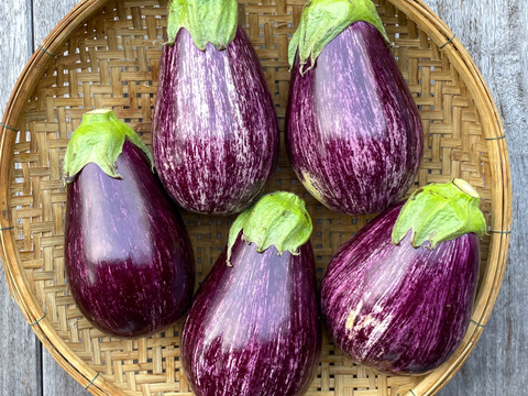 【有機JASゼブラナス】こんなキレイな柄のナス、見たことない⁈夏のおしゃれな食卓に！みんながあっと驚く色、柄、そしてふわっトロの食感！スーパーでは手に入らない！大ぶりサイズで食べ応えたっぷり！