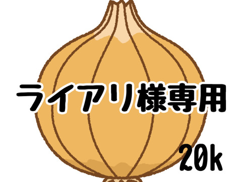 ライアリ様専用商品。
購入してすぐ吊るせる❗️吊るして保存出来る玉ねぎ20k入❗️