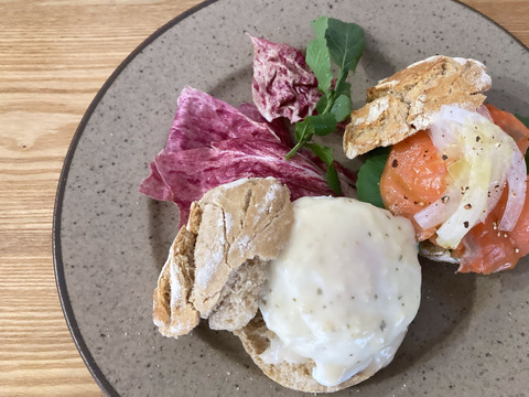 サラダの彩りに！富山県産 リーフチコリー カステルフランコ 1kg