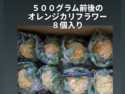 オレンジカリフラワー８個
