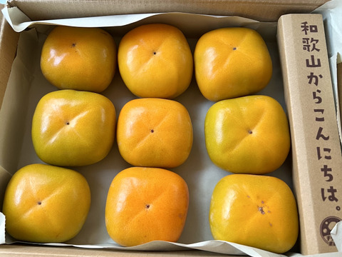 ジュワッ！ 甘っ！ 平核無（ひらたねなし）柿🟠✨🍂　お試しパック 6〜9個入り Mサイズ以上 11月上旬頃より順次発送