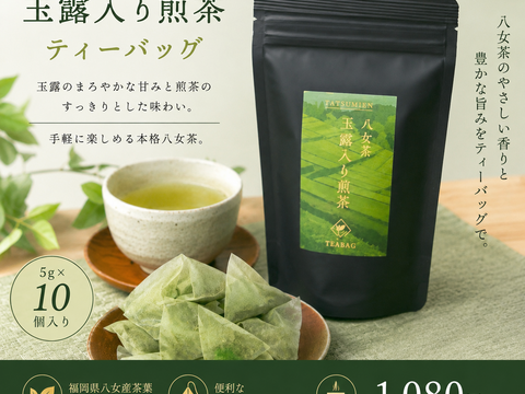 【新茶】毎日飲みたい八女茶｜玉露入り煎茶ティーバッグ10個入✖️2