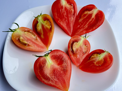 知る人ぞ知るトマト『ルネッサンス』2.4kg