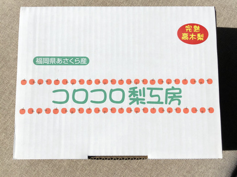 【幸水梨 大玉】甘い‼️まるで梨ジュース✨️贈答用約2.5kg (4~6個入) ひとつひとつ色付きを確認して樹上完熟で収穫します😋鮮度を保つため早朝に収穫しクール便でお届け🚚【夏ギフト】